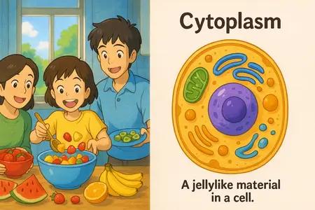 cytoplasm Simple Definition