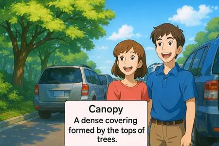 canopy Simple Definition