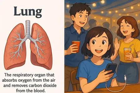 lung Simple Definition