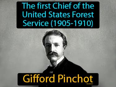 Gifford Pinchot Simple Definition