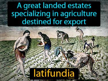 latifundia Simple Definition
