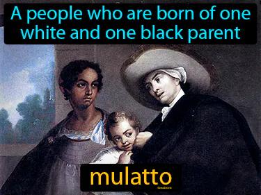 mulatto Simple Definition