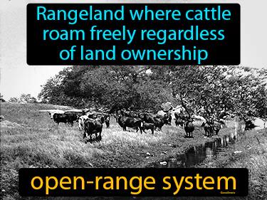 open range system Simple Definition