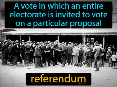referendum Simple Definition