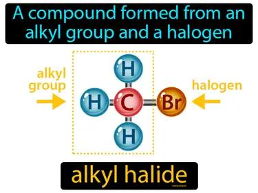 alkyl halide Simple Definition