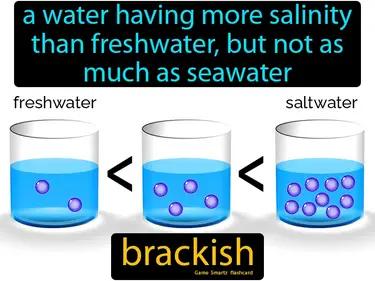 brackish Simple Definition