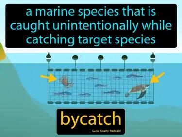 bycatch Simple Definition