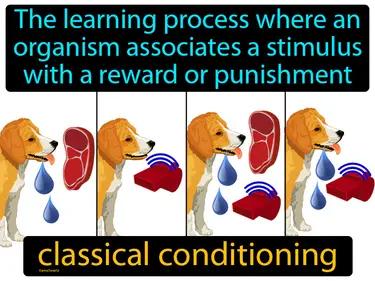 classical conditioning Simple Definition