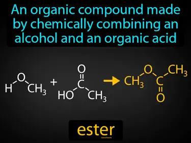 ester Simple Definition