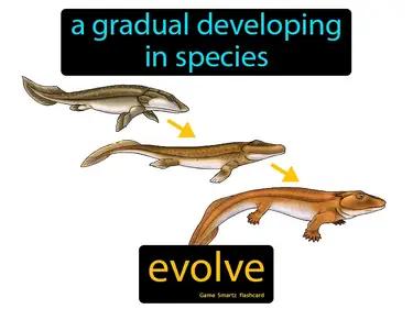 evolve Simple Definition