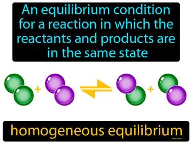 homogeneous equilibrium Simple Definition