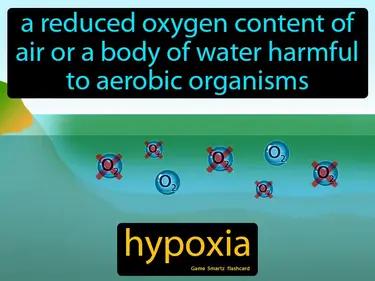 hypoxia Simple Definition