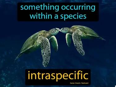 intraspecific Simple Definition