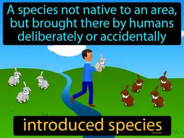 introduced species Simple Definition