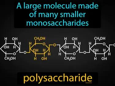 polysaccharide Simple Definition
