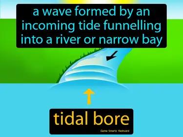tidal bore Simple Definition