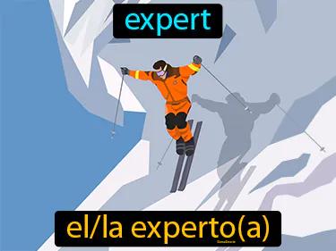 el experto Simple Definition
