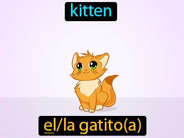 el gatito Simple Definition
