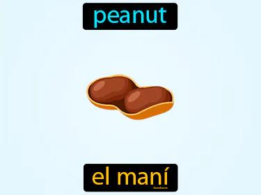 el mani Simple Definition