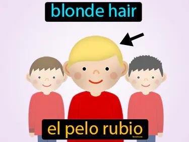 el pelo rubio Simple Definition