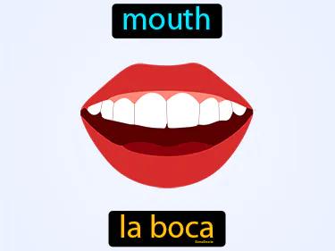 la boca Simple Definition