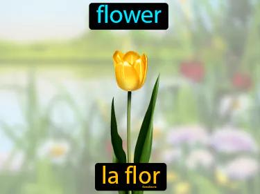 la flor Simple Definition