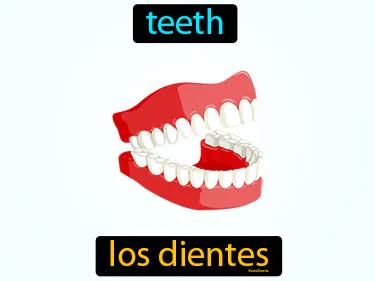 los dientes Simple Definition