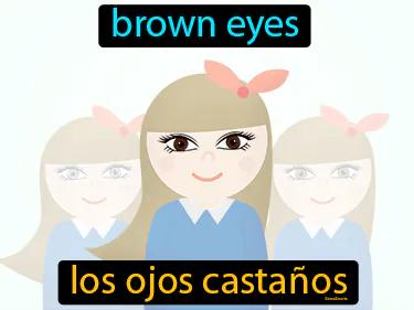 los ojos castanos Simple Definition