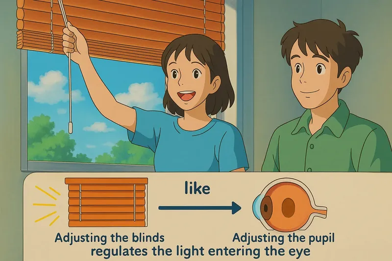 Pupil - A Real World Example