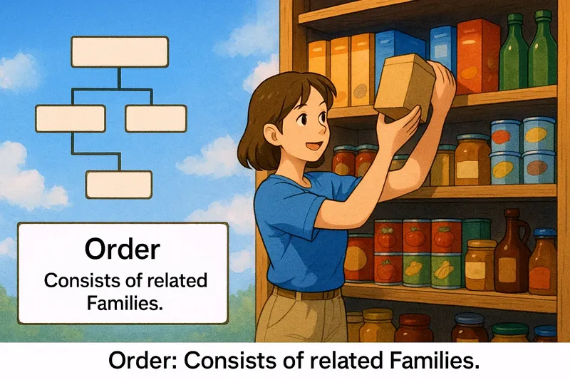 What is an Order? - Easy to Understand What is an Order? - Easy to Understand