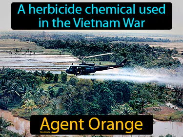 The Vietnam War 1954-1975