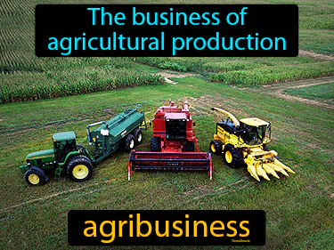 The business of agricultural production