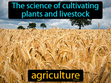 the science of cultivating plants and livestock