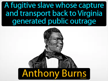a fugitive slave whose capture and transport back to Virginia generated public outrage