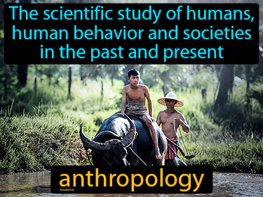 The scientific study of humans, human behavior and societies in the past and present