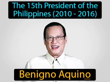 The 15th President of the Philippines (2010 - 2016)