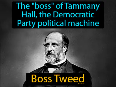 the boss of Tammany Hall, the Democratic Party political machine