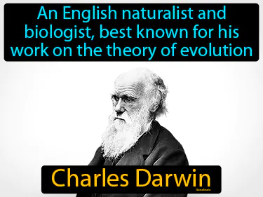 An English naturalist and biologist, best known for his work on the theory of evolution
