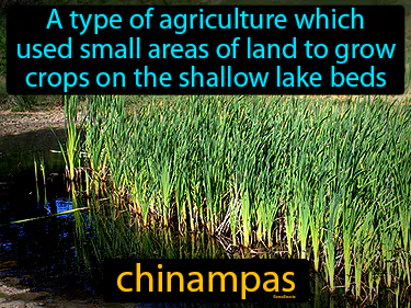 a type of agriculture which used small areas of land to grow crops on the shallow lake beds