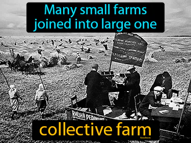many small farms joined into one large one