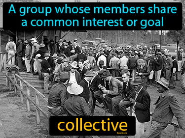 A group whose members share a common interest or goal