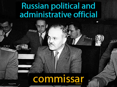 Russian political and administrative official