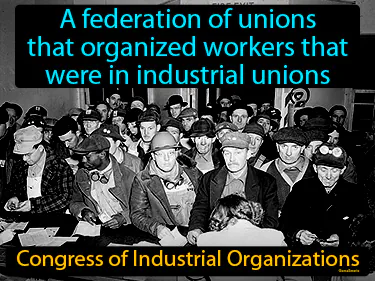 a federation of unions that organized workers in industrial unions