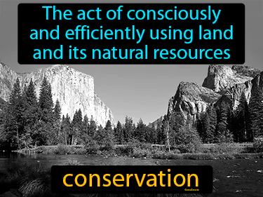 the act of consciously and efficiently using land and its natural resources