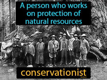a person who works on protection of natural resources