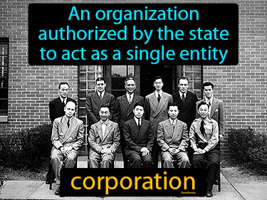 an organization authorized by the state to act as a single entity