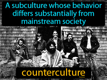a subculture whose behavior differs substantially from mainstream society