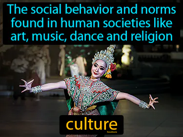 the social behavior and norms found in human societies like art, music, dance and religion