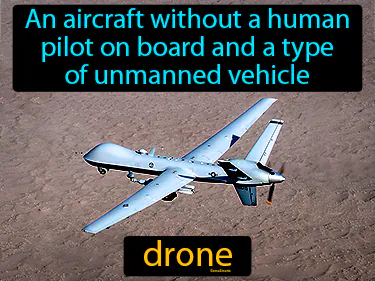 an aircraft without a human pilot on board and a type of unmanned vehicle