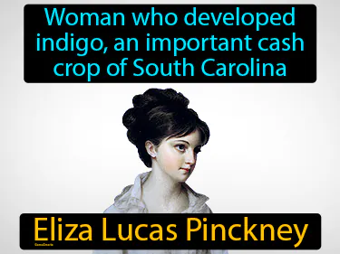 woman who developed indigo, an important cash crop of South Carolina